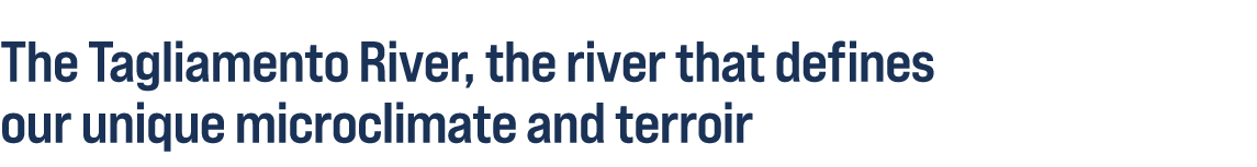 The Tagliamento River, the river that defines our unique microclimate and terroir